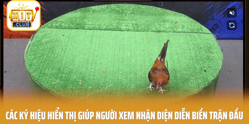 Các ký hiệu hiển thị giúp người xem nhận diện diễn biến trận đấu