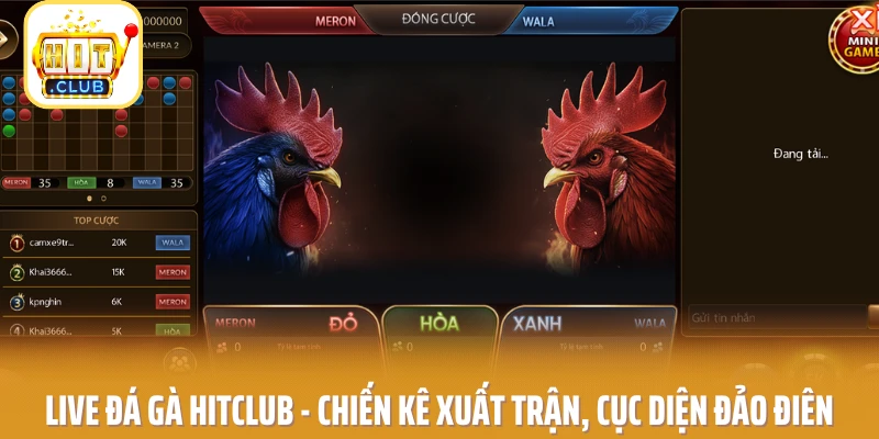 Live Đá Gà Hitclub - Chiến Kê Xuất Trận, Cục Diện Đảo Điên