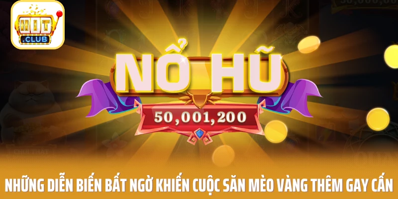 Những diễn biến bất ngờ khiến cuộc săn mèo vàng thêm gay cấn